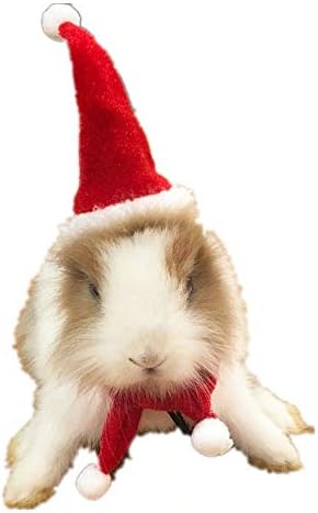 HAİCHEN TEC Tavşan Giysileri Cadılar Bayramı Şapka ve Noel Seti Küçük Hayvan Giysileri Giyim Ayarlanabilir Cadılar Bayramı