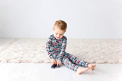 Posh Fıstık Unisex Pijama Seti-Yürümeye Başlayan Uyuyanlar Küçük Çocuk Giysileri - Çocuklar İki Parçalı Kız PJ-Yumuşak Viskon