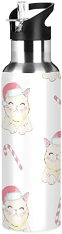 Noel Sevimli Kedi Su Şişeleri ile Saman 20 oz Çift Duvarlı Vakum Paslanmaz Çelik Yalıtımlı Sıcak ve Soğuk Tutar Büyük Yalıtımlı