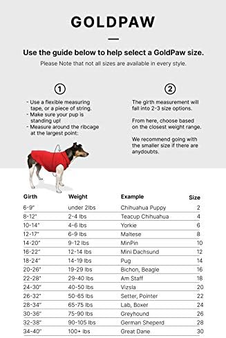Altın Pençe Güneş Kalkanı Köpek Tee-Köpekler için T – Shirt-UV Koruması, Evcil Hayvan Kaygısını Hafifletme, Yara Bakımı-Tilki