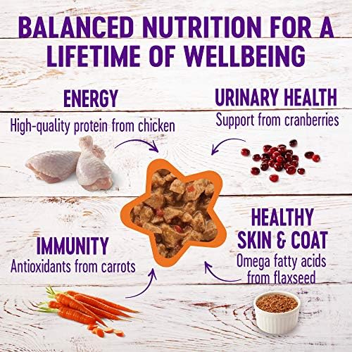 Wellness Komple Sağlık Doğal Tahıl İçermez