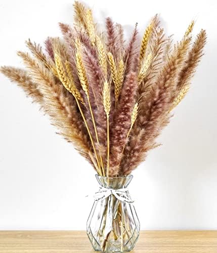 Doğal Kurutulmuş Pampas Çim Dekoru ve Kurutulmuş Buğday-40 Adet 17 Bohem Dekor / Uzun Boylu Görkemli Çimen / Kurutulmuş Çiçek