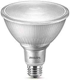 Philips LED 530048 LED İç / Dış Mekan Kısılabilir PAR38 40 Derece Klasik Cam Spot Ampul 950 Lümen, 5000 Kelvin, 12 (90 Watt