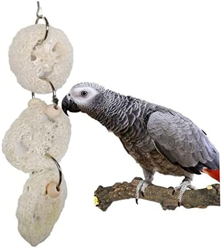 SouiWuzi çiğneme oyuncağı Kuş Oyuncaklar Papağan Çiğneme Kafesi Oyuncaklar Asılı Salıncak Çan Ahşap Parakeets Cockatiels Conures