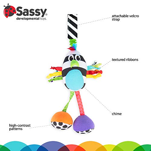 Sassy Boppin ' Birdie / Erken Öğrenme için Gelişimsel Peluş Oyuncak / Yüksek Kontrast / Seyahat için Bebek Dişlisine Takılır