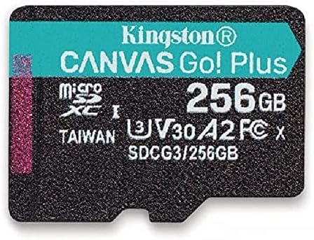 Adaptörlü Kingston 256GB Canvas Go Plus microSD Hafıza Kartı (2 Paket), GoPro Hero 10 (Hero10) Sınıf 10, SDXC (SDCG3/256GB)