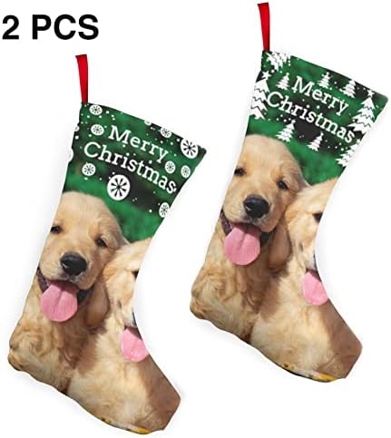 Golden Retriever Köpekler Yavru Evcil Noel Çorap 2 Paket 10 İnç, Noel Çorap Noel Ağacı Şömine Asılı Çorap Noel Şeker Mevcut