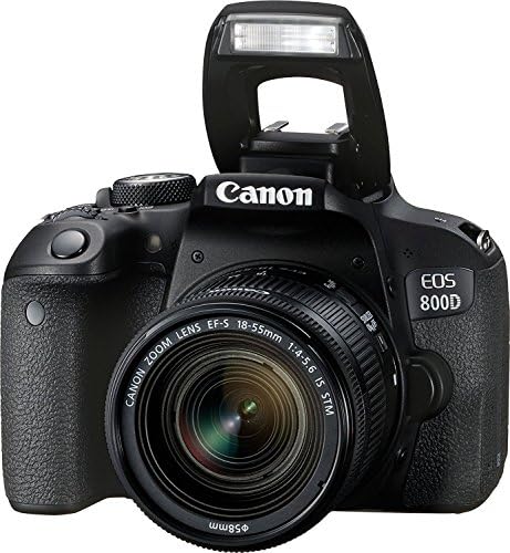 18-55 ıs STM Lensli Canon EOS 800D Dijital SLR Fotoğraf Makinesi Black-Deal-Expo Essential Accessories Bundle (Uluslararası
