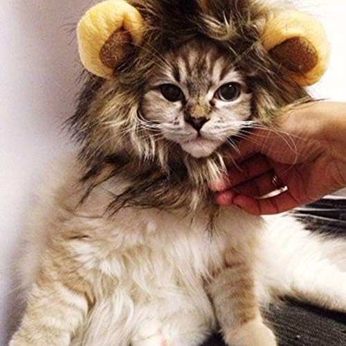 Yevison Pet Başlık Şapka Köpek Şapka Pet Kedi Aslan Peruk Kedi Aslan Kulaklık Pet Peruk Pet Kulaklık