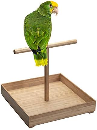 Orta ve Büyük Kuşlar için Bambu Ağacından MobileVision Kuş Standı, Tabana Sahip Masa Üstü T-Levrek, 16 inç x 16 inç