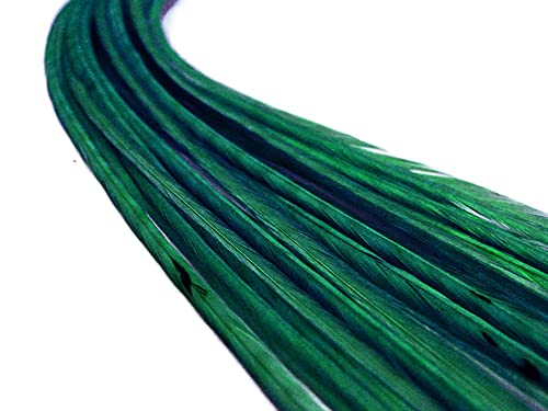 Mehtap Tüy / 10 Parça-Katı Tavuskuşu Yeşil Ince Uzun Horoz Saç Uzatma Tüyler Mezgit Çiftlikleri Fly Bağlama