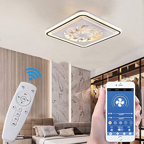 HSCW tavan vantilatörü Aydınlatma ile LED Fan tavan ışık tavan lambası Kısılabilir Uzaktan Kumanda ile Sessiz Fan Yaratıcı